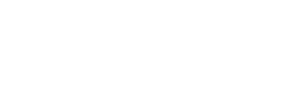 SnN Logo